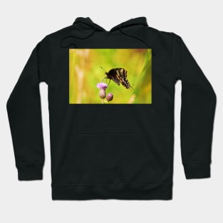 Black Beauty Hoodie